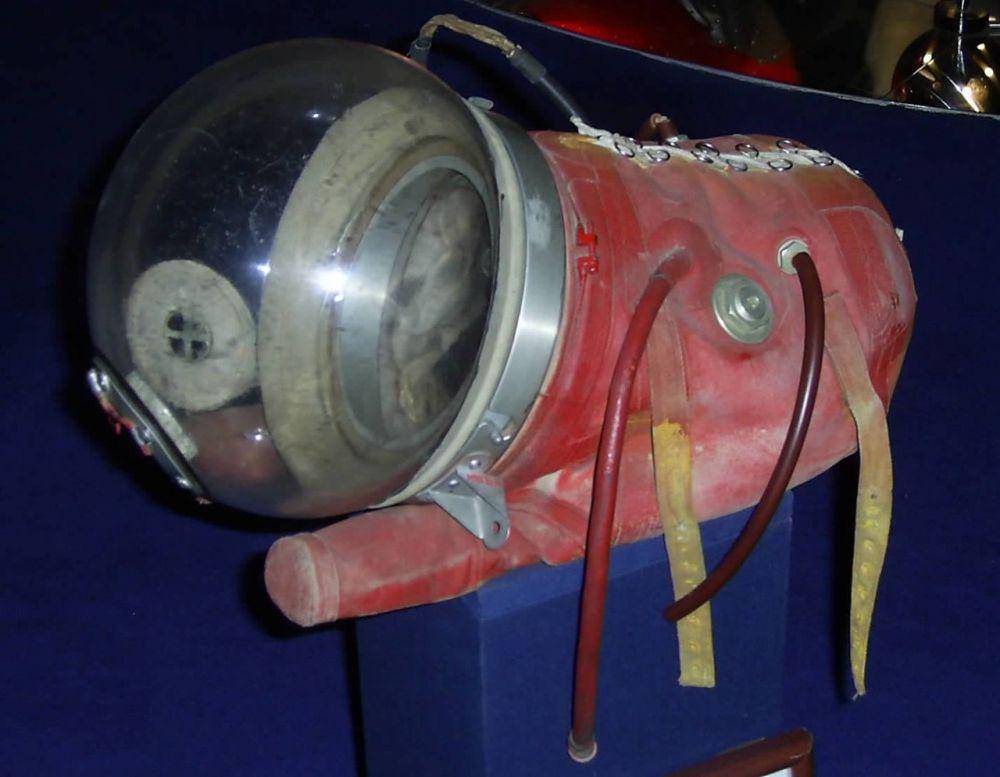 pakaian khusus yang dikenakan oleh anjing bernama Laika untuk misi luar angkasa (commons.wikimedia.org/James Duncan)