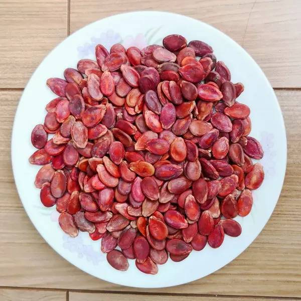 Ilustrasi biji semangka merah (gxyfoods.com)