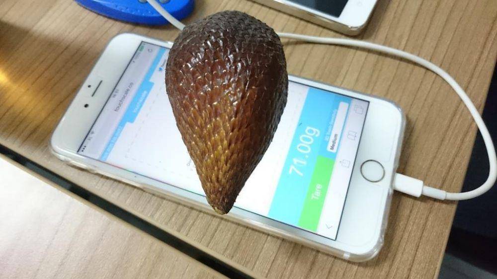 tingkah nyeleneh orang pakai timbangan (instagram.com/humoar)