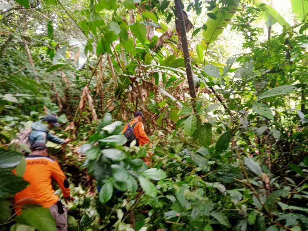 Seorang Petani Kayu Manis di Kerinci Jambi Dilaporkan Hilang