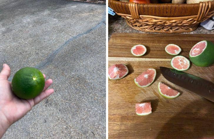 beli makanan online yang gak sesuai (reddit.com/YearningSun)