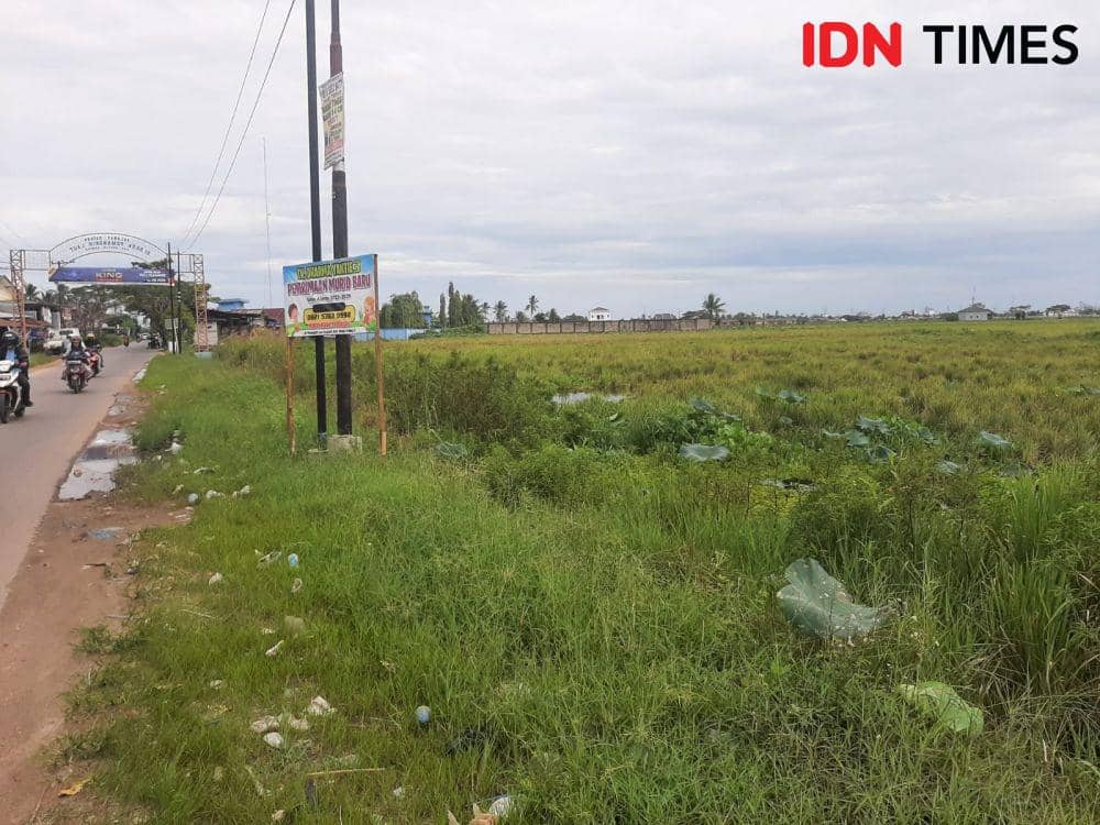 Petani menggarap lahan untuk persiapan penanaman padi di Lahan Pertanian di Kota Banjarmasin Kalsel, Minggu (22/1/2023). (IDN Times/Hamdani)