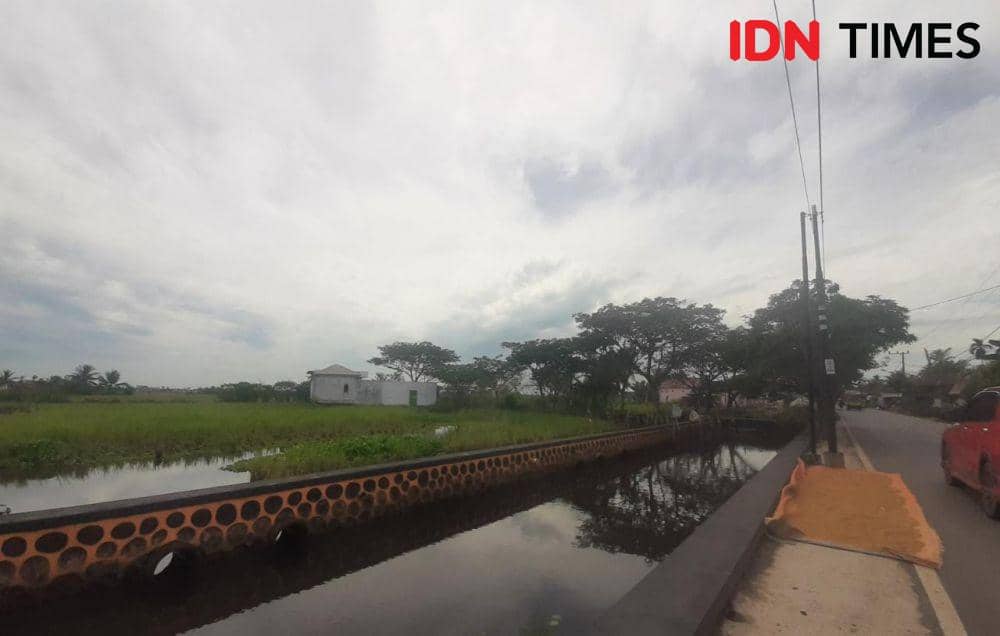 Petani menggarap lahan untuk persiapan penanaman padi di Lahan Pertanian di Kota Banjarmasin Kalsel, Minggu (22/1/2023). (IDN Times/Hamdani)