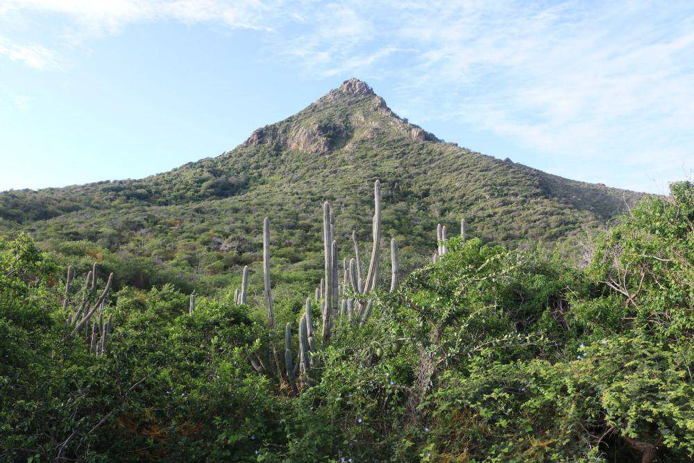 Christoffel National Park (unsplash.com/mohamedosama)