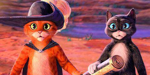 Puss dan Kitty Softpaws (dok. DreamWorks Animation/Puss in The Boots: The Last Wish)
