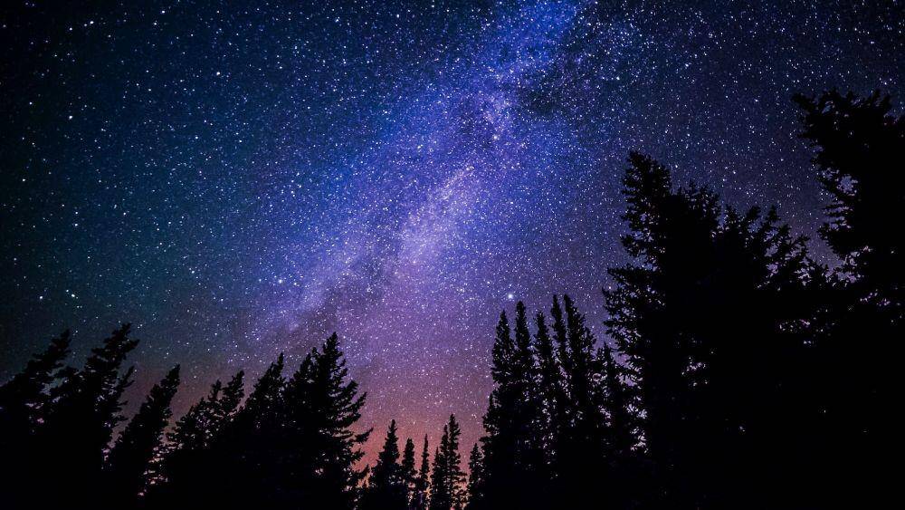 Unsplash/Ryan Hutton