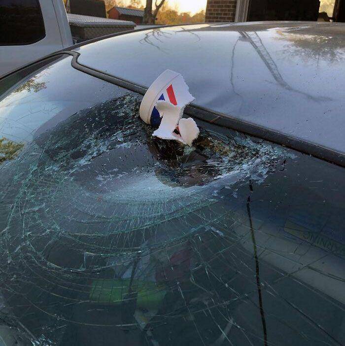 insiden apes termahal (reddit.com/autotech1011)