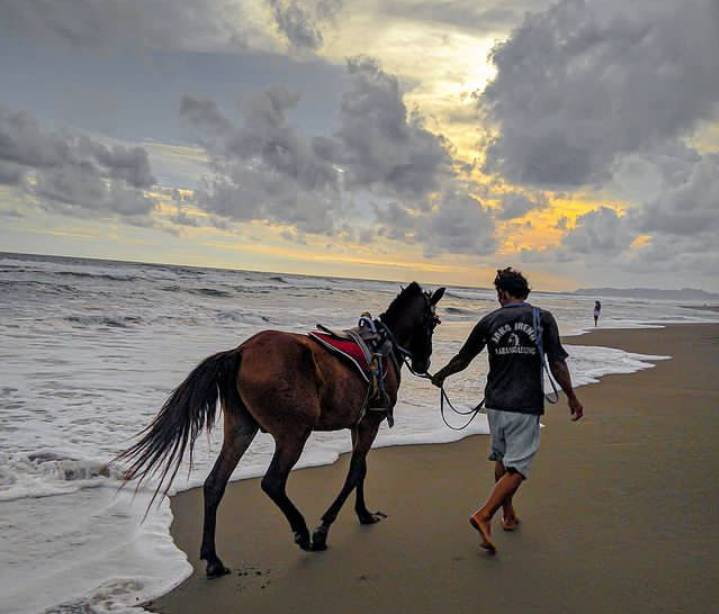potret penyedia jasa kuda di Pantai Petanahan Kebumen (instagram.com/bluckang.project)