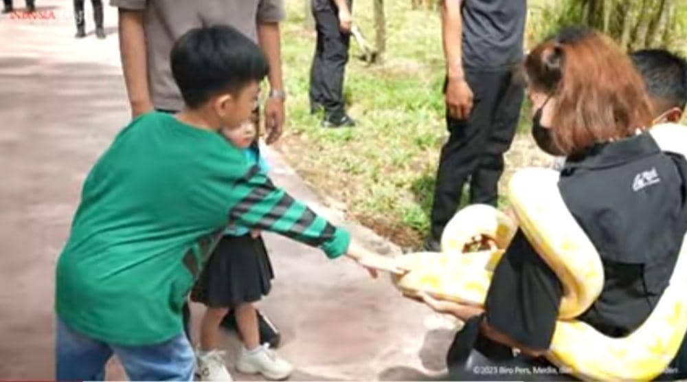 Cucu Presiden Joko "Jokowi" Widodo, Jan Ethes Srinarendra ketika memegang ular berwarna kuning. (Tangkapan layar YouTube Biro Pers Istana)