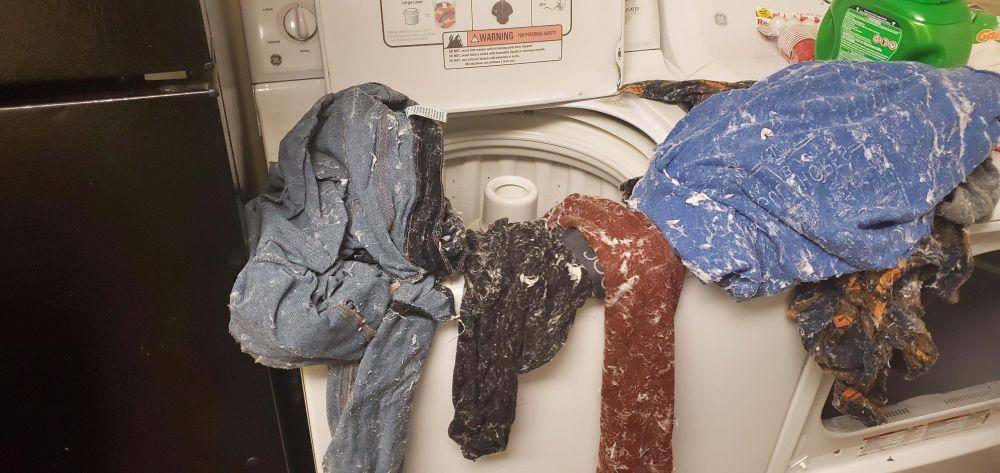 potret momen apes pas cuci baju (reddit.com/user/brbimjumping)