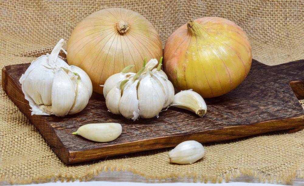 ilustrasi bawang putih (pixabay.com/monicore)
