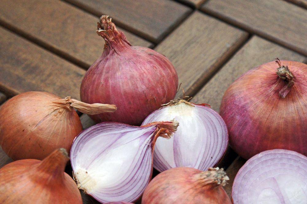 ilustrasi bawang merah (pixabay.com/tee2tee)