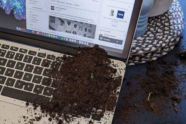 momen apes kerja pakai komputer (instagram.com/kaxamdays)