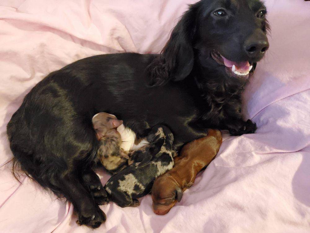potret gemes anabul tidur bareng mama (reddit.com/user/Ycote)