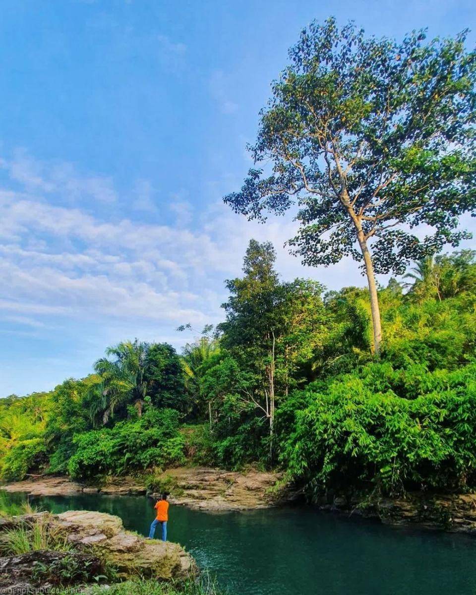 potret Nantampuk Mas (instagram.com/genpi.subulussalam)