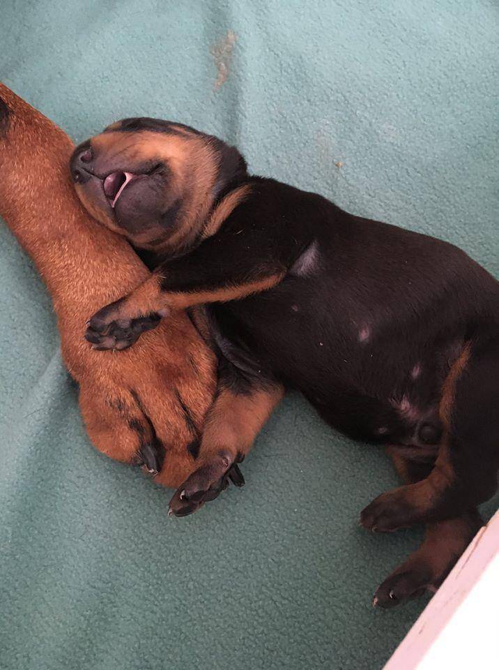 potret gemes anabul tidur bareng mama (reddit.com/user/Carljul)