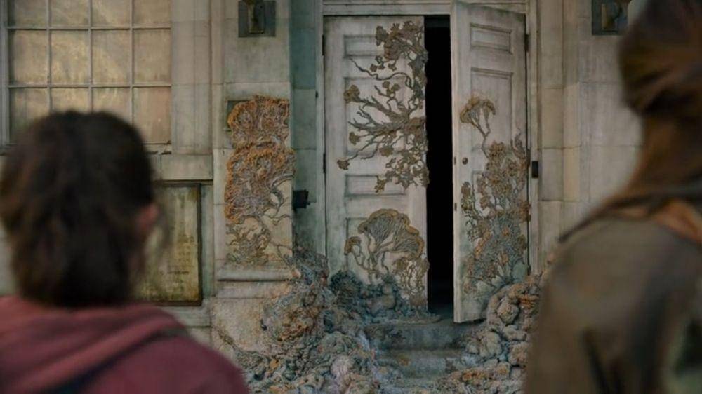 Jamur Cordyceps (dok. HBO/The Last of Us)