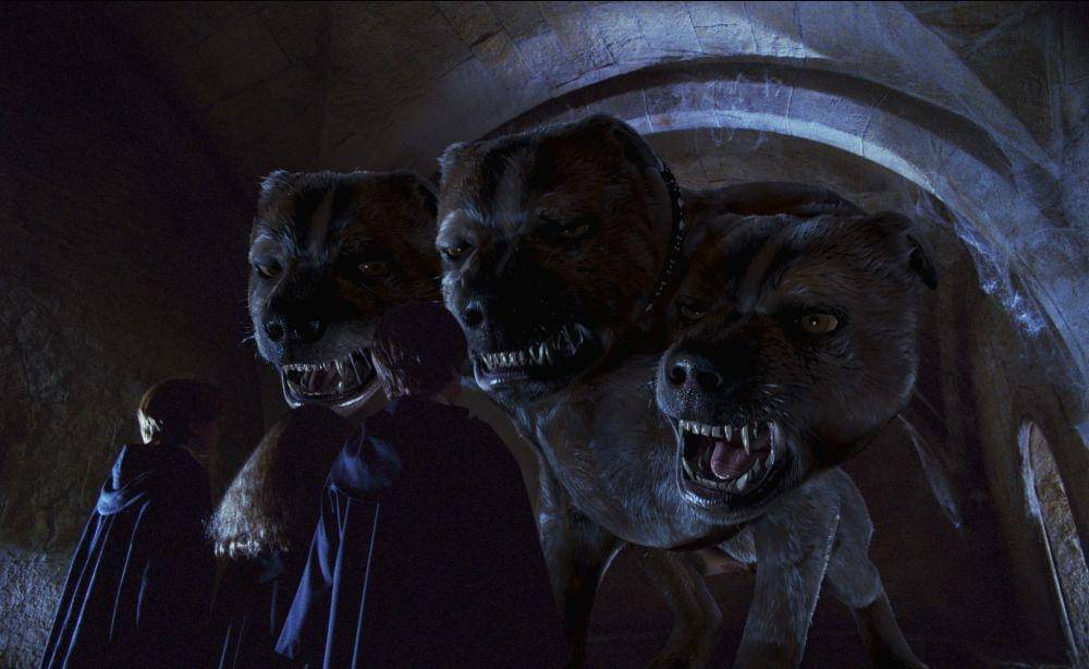 dok. Warner Bros/Harry Potter