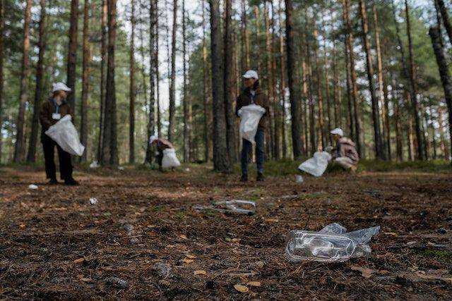 sekumpulan orang sedang mengutip sampah (pixels.com/ronlach)