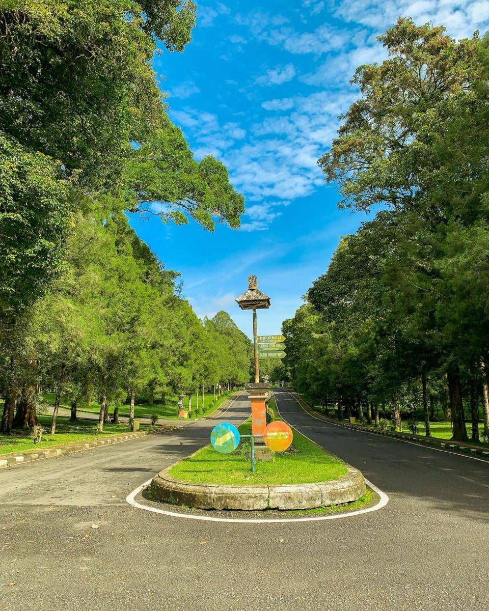 ilustrasi Bali Botanical Garden Bedugul (instagram.com/maukasitau)
