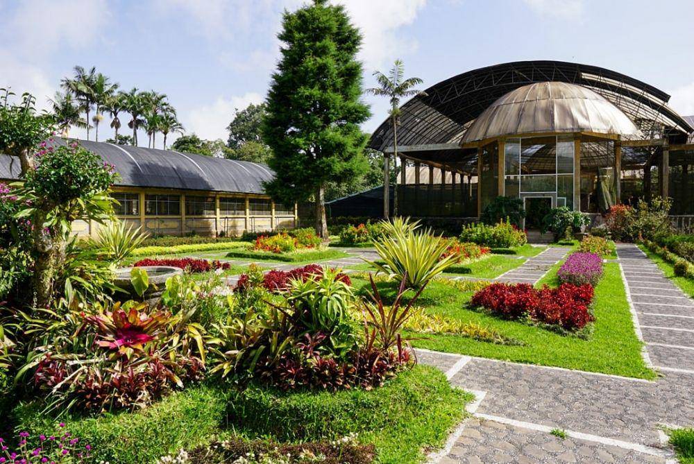 ilustrasi Bali Botanical Garden Bedugul (instagram.com/pappa_rt)