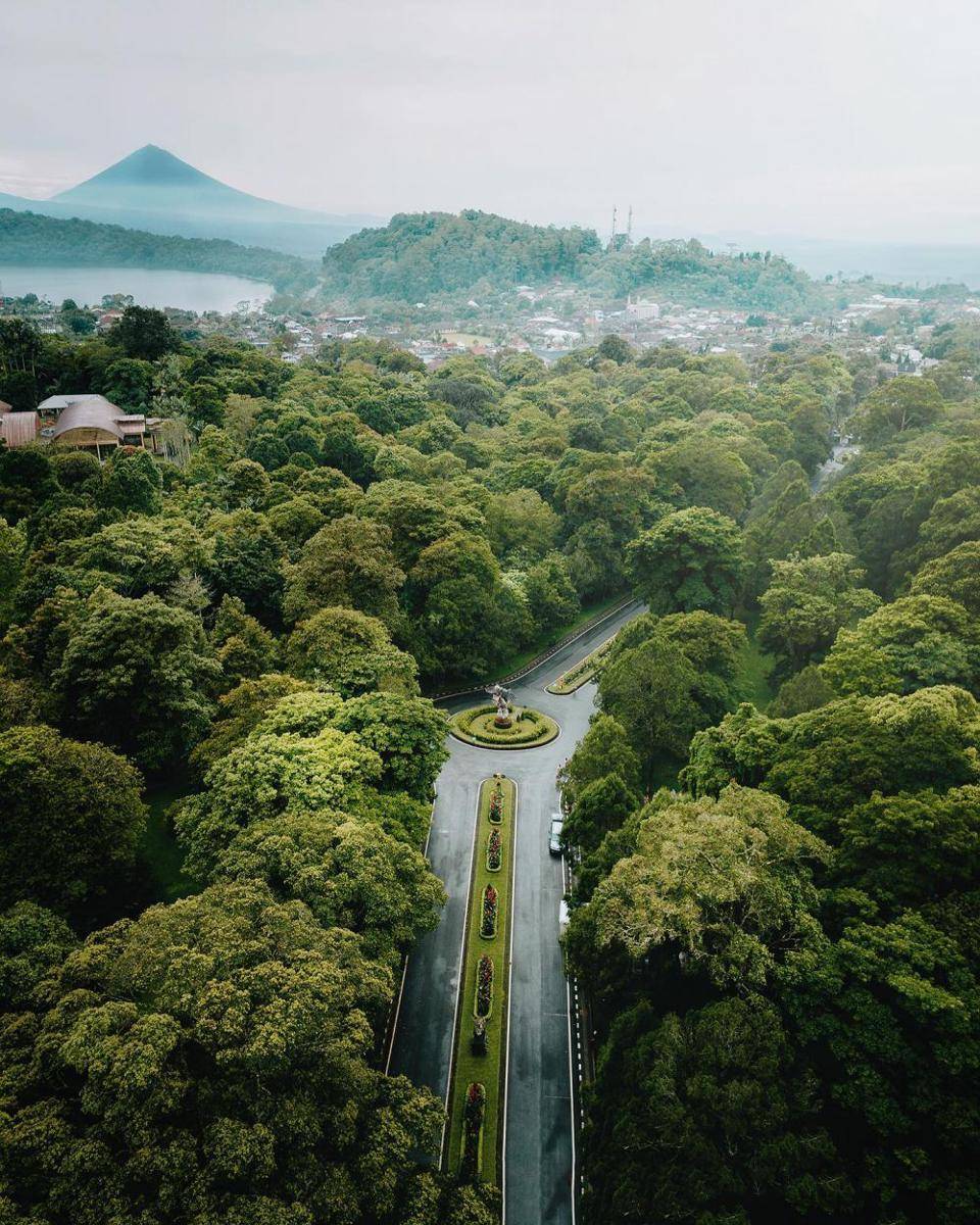 ilustrasi Bali Botanical Garden Bedugul (instagram.com/jejaklangkahpicture)