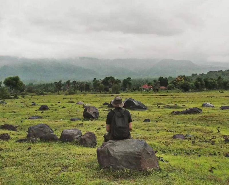 gambar rerumputan hijau di Savana Tianyar (instagram.com/alitjrt)
