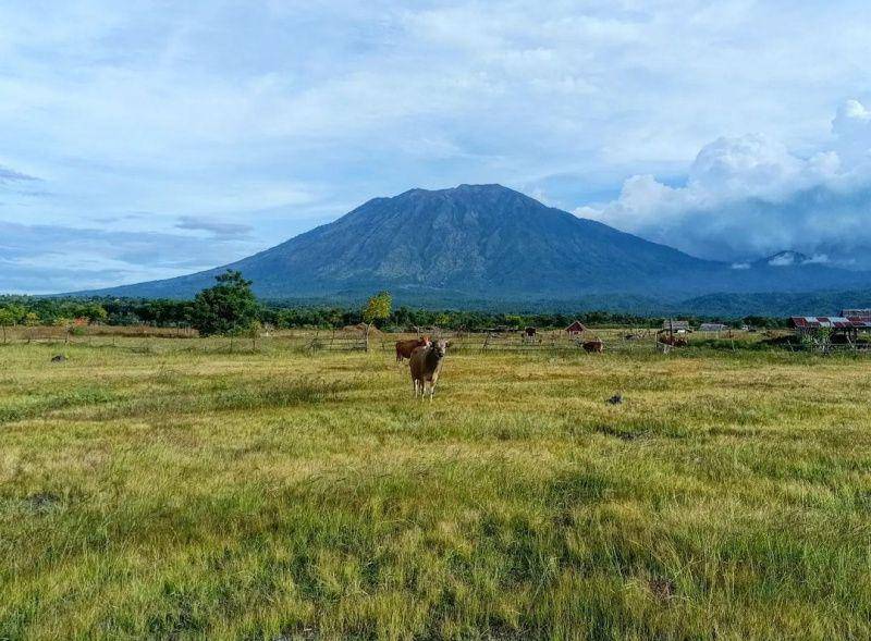 gambar pemandangan di Savana Tianyar saat musim hujan (instagram.com/didukmiru)