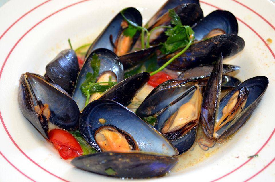 ilustrasi kerang saus tomat (pixabay.com/Eugenio Cuppone)