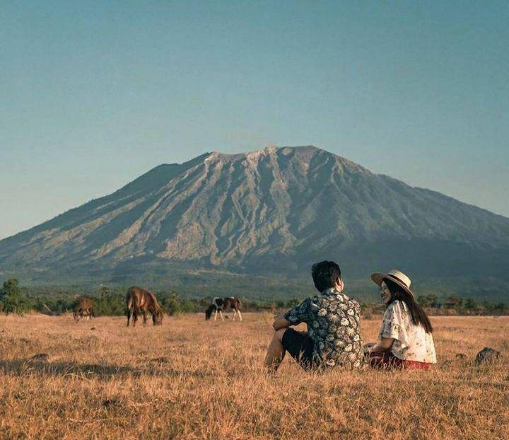 Savanna Tianyar Bali (instagram.com/misteraladin)