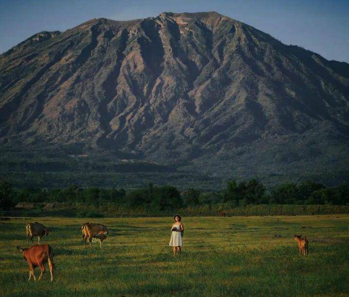 Savanna Tianyar Bali (instagram.com/infokarangasem)