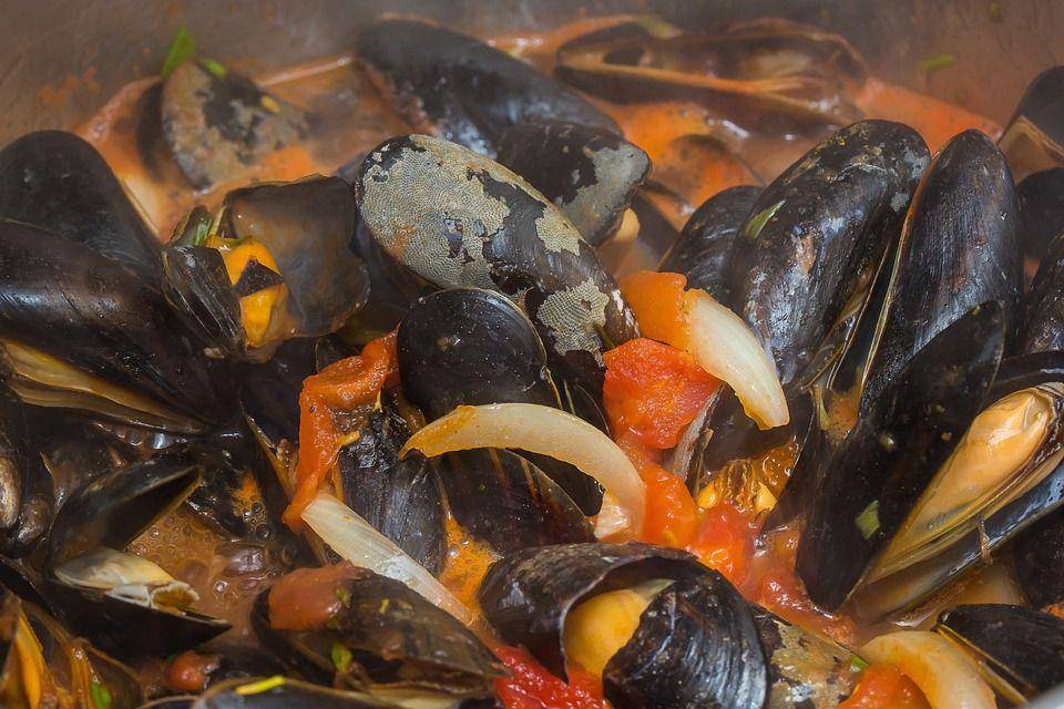 ilustrasi proses memasak kerang (pixabay.com/Th G)