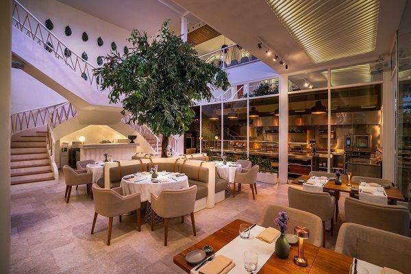 Mauri Restaurant (google.com/maps/mauri restaurant)