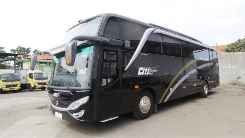 Bus AKAP eksekutif PO Cititrans (dok. Trans Utama)