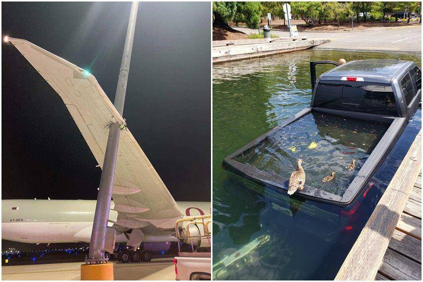 potret momen apes bikin bangkrut (reddit.com/user/rulingthewake243 | reddit.com/user/x2o6)
