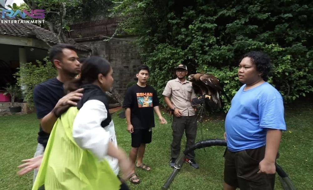 momen Raffi main bareng elang milik Alshad (youtube.com/RANS Entertainment)