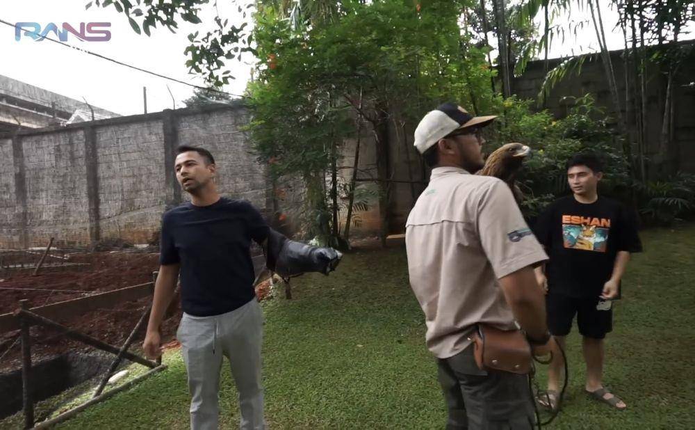 momen Raffi main bareng elang milik Alshad (youtube.com/RANS Entertainment)