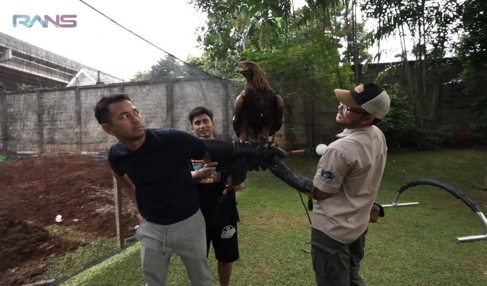 momen Raffi main bareng elang milik Alshad (youtube.com/RANS Entertainment)