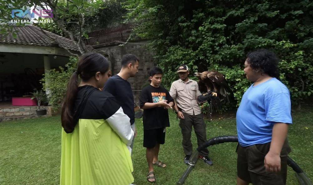 momen Raffi main bareng elang milik Alshad (youtube.com/RANS Entertainment)