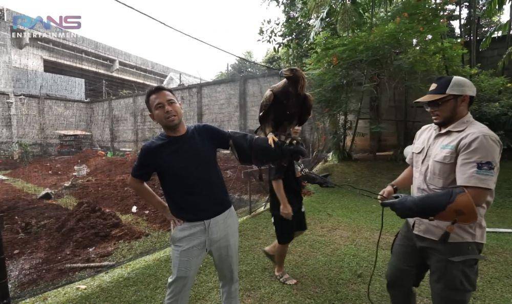 momen Raffi main bareng elang milik Alshad (youtube.com/RANS Entertainment)
