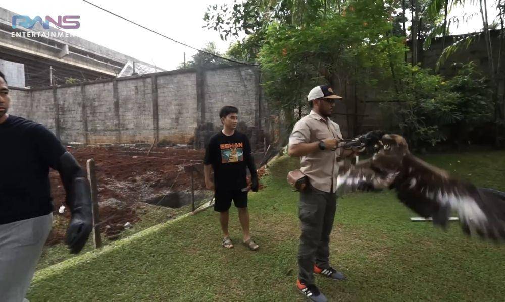 momen Raffi main bareng elang milik Alshad (youtube.com/RANS Entertainment)