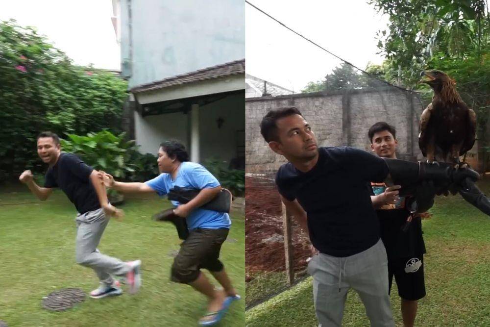 momen Raffi main bareng elang milik Alshad (youtube.com/RANS Entertainment)
