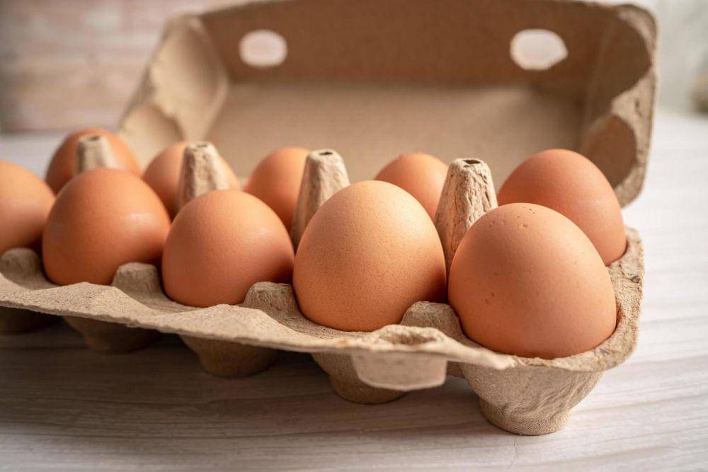 ilustrasi telur ayam (vecteezy.com/chormail153750)