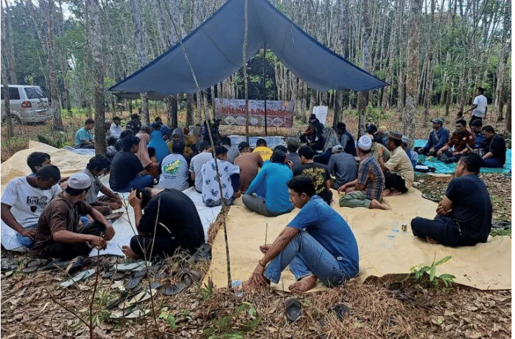 Sejumlah petani karet mengikuti edukasi cara pengendalian serangan penyakit gugur daun oleh Dinas Perkebunan dan Peternakan Kabupaten Tabalong. (ANTARA/Dinas Perkebunan dan Peternakan)