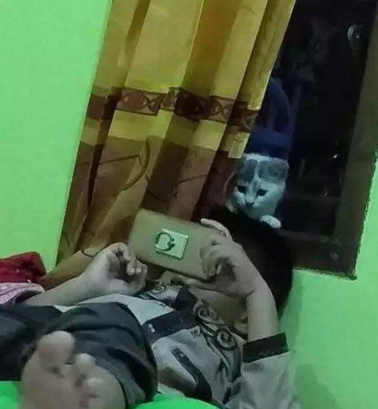 di balik jendela kocak (instagram.com/instakocheng)