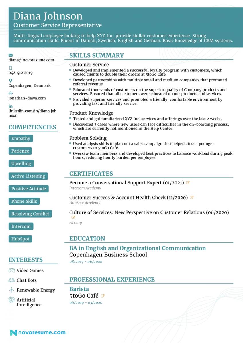 contoh Functional CV (CV Fungsional) (dok. Novoresume)