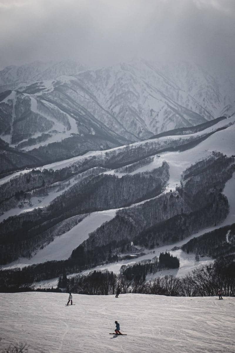 Ilustrasi suasana kawasan resor ski di Nagano, Jepang. (unsplash.com/Leo Mendes)