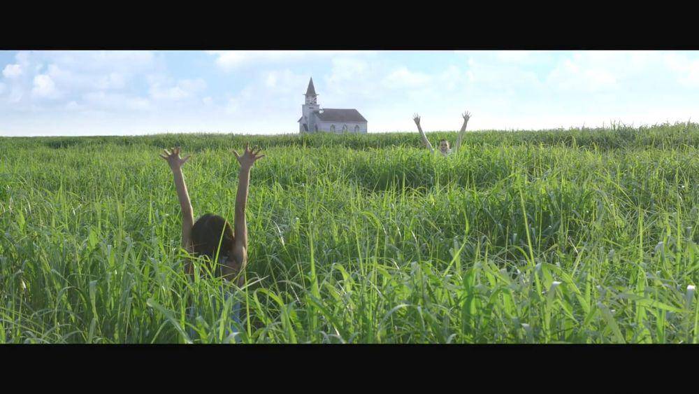 In the Tall Grass (dok. Netflix/In the Tall Grass)