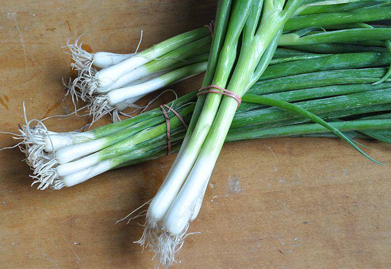 ilustrasi green onion (heinens.com)
