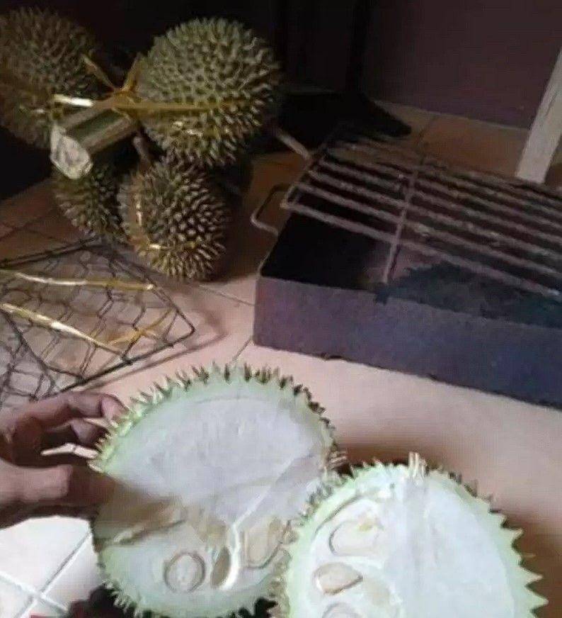 apes saat belah durian (instagram.com/komersial.beract)